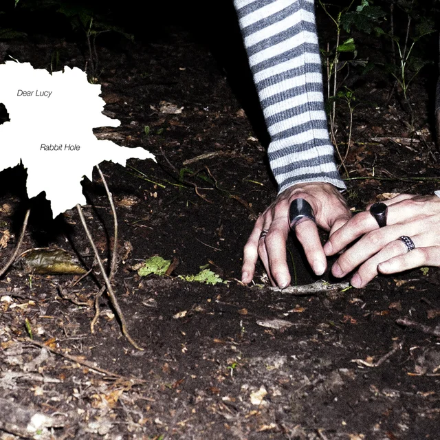 Rabbit Hole by Dear Lucy, cover art